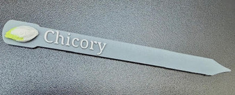 Plant and Herb Marker Tag - Biodegradable -CHICORY