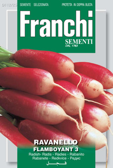 Radish Flamboyant