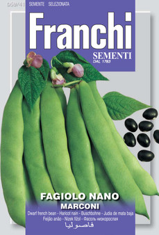 Roma (French) bean Marconi dwf  (A) Phaseolus vulgaris L. - SHORT DATE EXP. 06/27 was £1.99 now £1