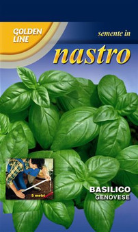 Basil Italiano Classico - *Seed Tape*  - SHORT DATE EXP. 06/27 was £3.29 now £1