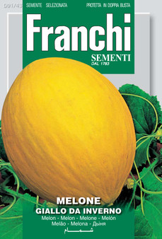 Melon giallo d'Inverno