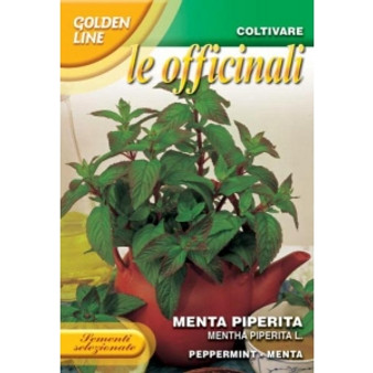 Menta Piperita - Peppermint officinalis medicinal