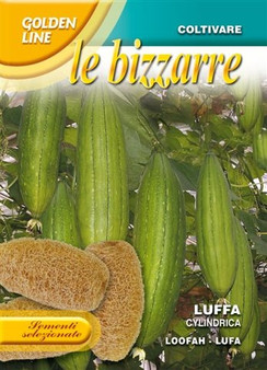 Luffa / Loofah