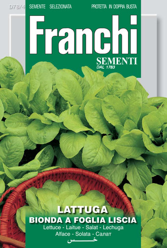 Seeds Lettuce Parella Franchi Seeds of Italy 