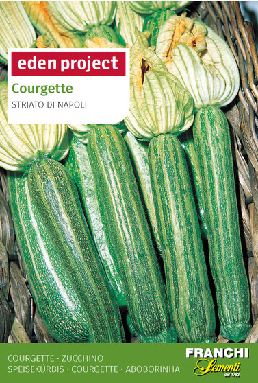 Eden Project Courgette ‘Striato D'Italia’ Cucurbita pepo