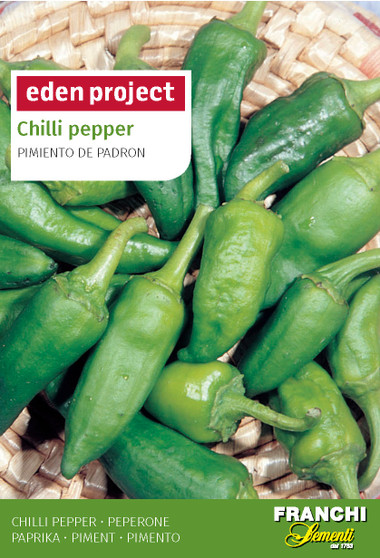 Eden Project Chilli Pepper Pimiento de ‘Padron’ (A) Capsicum annuum L.