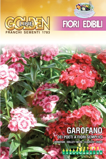 Sweet william edible carnation for the kitchen