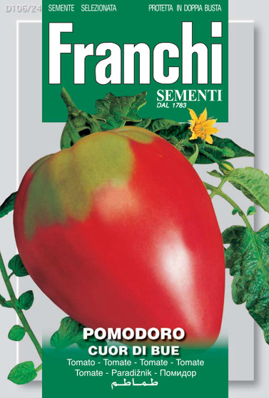 Tomato Cuor Di Bue / Coeur De Boeuf Of Liguria (A) Solanum Lycopersicum L.