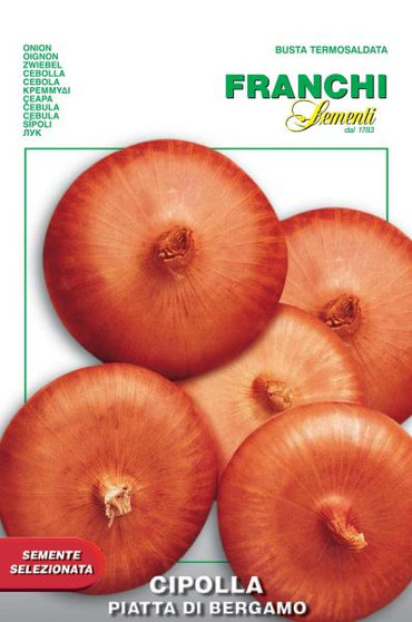 Onion Piatta Di Bergamo  (A) Allium cepa L.
