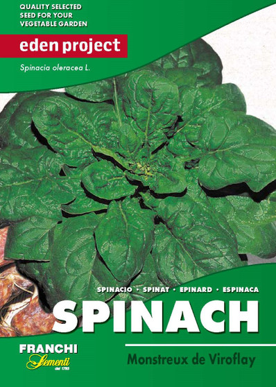 Eden Project Spinach Monstreux de Viroflay