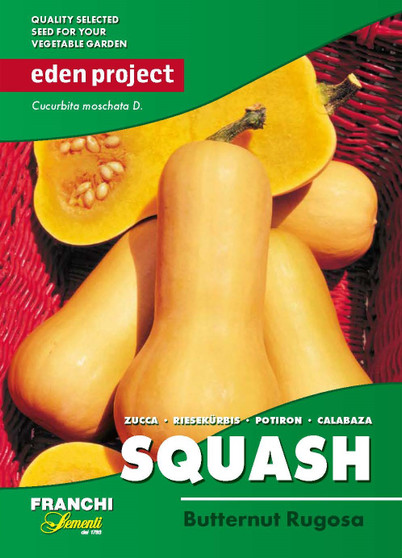 Eden Project Butternut Squash Rugosa