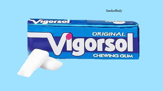 Vigorsol Chewing Gum 15g