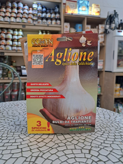 Tuscan Elephant Garlic (Aglione) from the Valdichiana