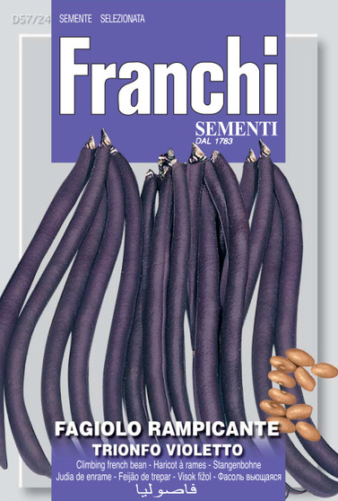 Climbing French Bean Trionfo/Cosse  Violetto (A) Phaseolus vulgaris L