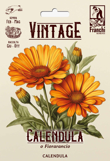 Vintage 1928 Orange Calendula  or Pot Marigold