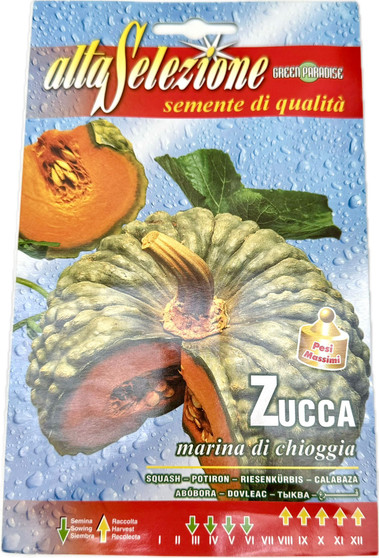 Pumpkin Marina Di Chioggia - Alta Selezione