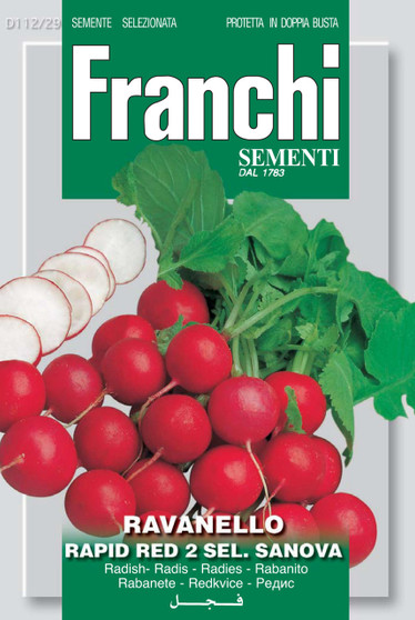 Salad Radish Rapid Red Sanova *Short Date* Discounted