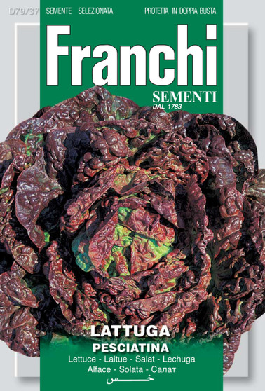 Lettuce Pesciatina Of Tuscany *Short Date* Discounted