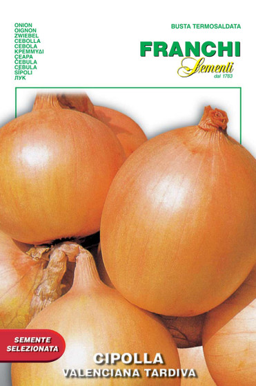 Onion Valenciana Tardiva *Short Date* Discounted