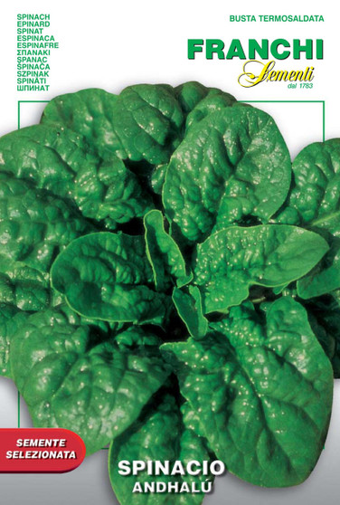 Spinach Andhalu *Short date 06/2026 exp