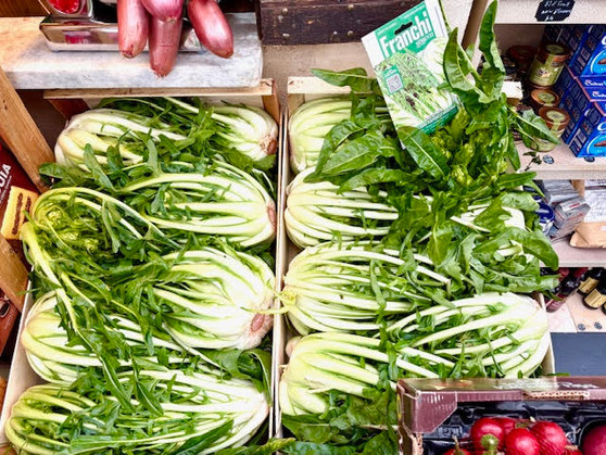 Fresh Chicory Catalogna Puntarelle  Brindisina @350g Fresh Chicory Catalogna Puntarelle  Brindisina @350g