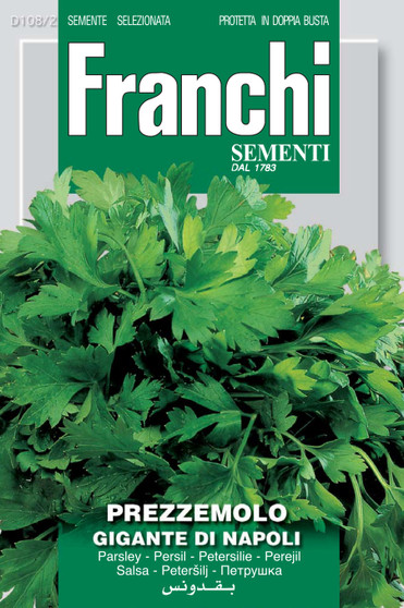 Parsley gigante napoletano