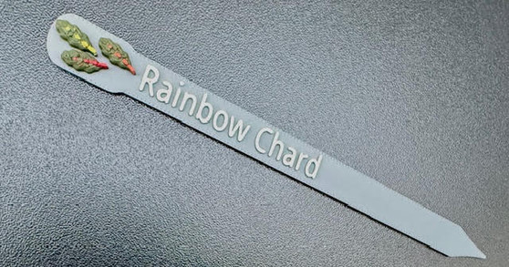 Plant and Herb Marker Tag - Biodegradable -RAINBOW CHARD