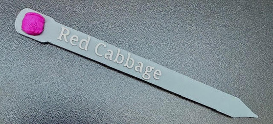 Plant and Herb Marker Tag - Biodegradable - RED CABBAGE
