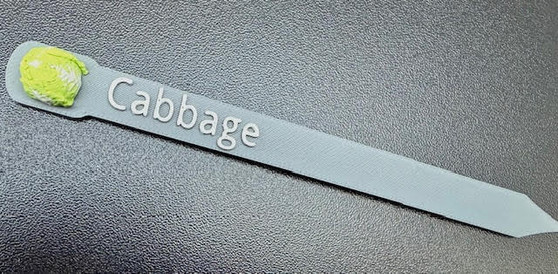 Plant and Herb Marker Tag - Biodegradable - CABBAGE