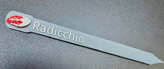 Plant and Herb Marker Tag - Biodegradable - RADICCHIO