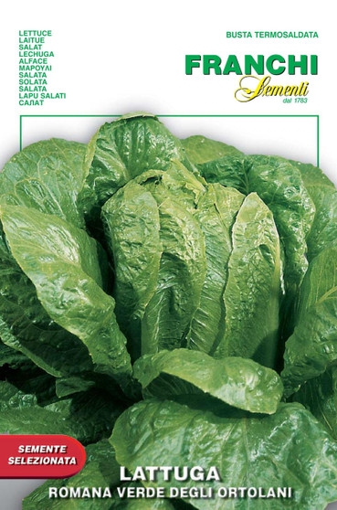 Romaine Lettuce Verde Degli Ortolani  - SHORT DATE EXP. 06/27 was £2.99 now £1