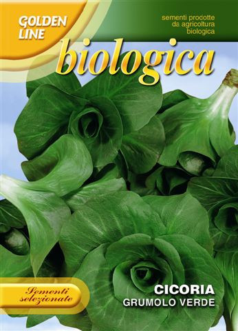 40/2 Organic Chicory Grumolo Verde - SHORT DATE EXP. 06/27 was £3.49 now £1