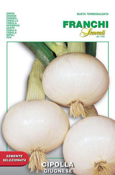 Onion Regina / ex-Giugnese (A) Allium cepa L. - SHORT DATE EXP. 06/27 was £2.99 now £1