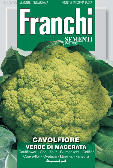 Cauliflower of Macerata AKA Cimone - SHORT DATE EXP. 06/27 was £2.99 now £1