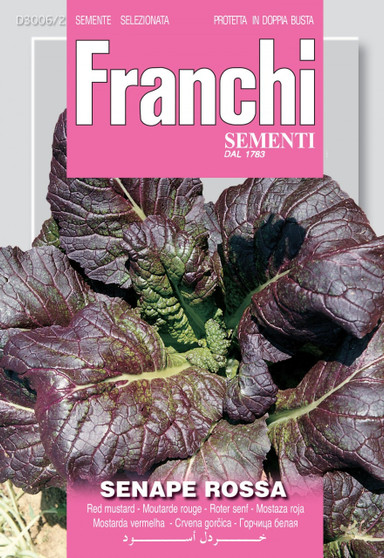 Red mustard - senape rossa - SHORT DATE EXP. 06/27 was £2.99 now £1