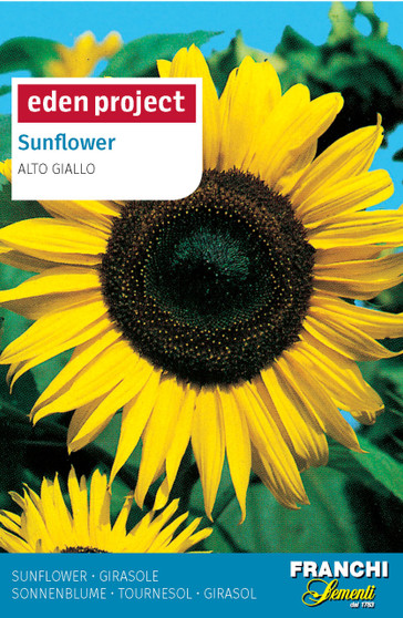 Eden Project Sunﬂower ‘Alto Giallo’ (A) Helianthus SPP - SHORT DATE EXP. 06/27 was £1.79 now £1