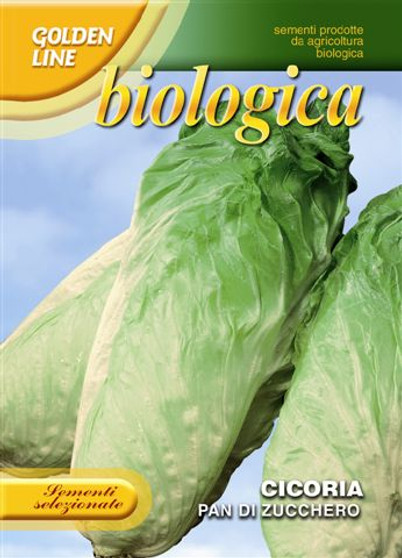 40/10 Organic Chicory Pan Di Zucchero