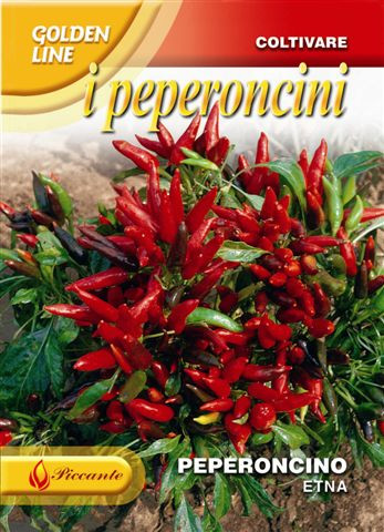 Chilli Etna - Voted 9th Hottest by BBC Gardeners World (A) Capsicum annuum L.