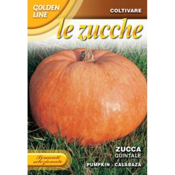 Pumpkin Gialla Quintale GL