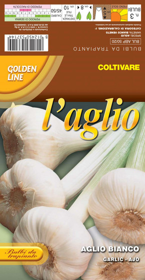 White Garlic bianco veneto (A) Allium Sativum L. *Preorder for Winter*