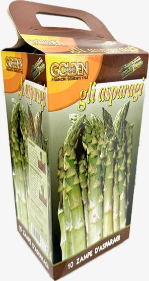 Green Asparagus 10 crowns