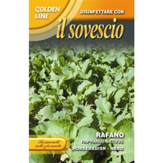 Green Manure Radish Rafano