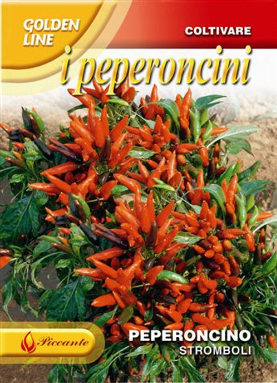 Chilli Pepper Stromboli (A) Capsicum annuum L.