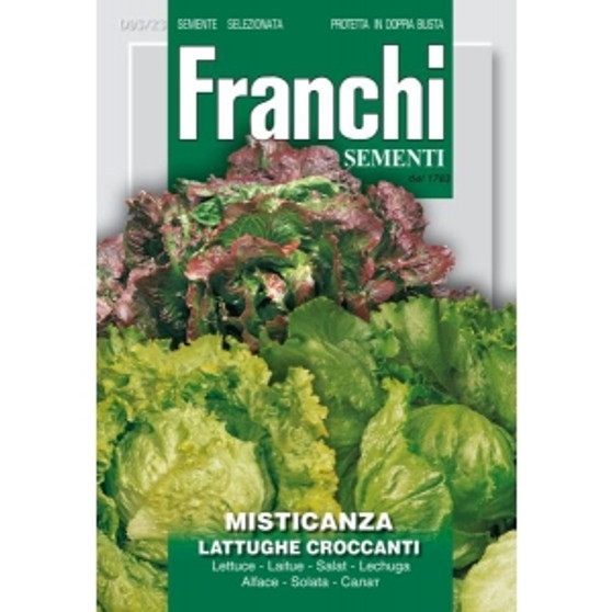 Misticanza lattughe croccanti - Crunchy Lettuces Mix