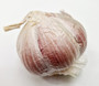 Spanish Red Garlic single Bulb *Sow Now*