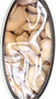 Shelled Broad Beans 400g (Fave Sgusciate)