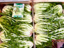 Fresh Chicory Catalogna Puntarelle  Brindisina @350g Fresh Chicory Catalogna Puntarelle  Brindisina @350g