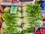 Fresh Chicory Catalogna Puntarelle  Brindisina @350g Fresh Chicory Catalogna Puntarelle  Brindisina @350g
