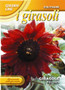 Sunflower red sun (A)Helianthus SPP