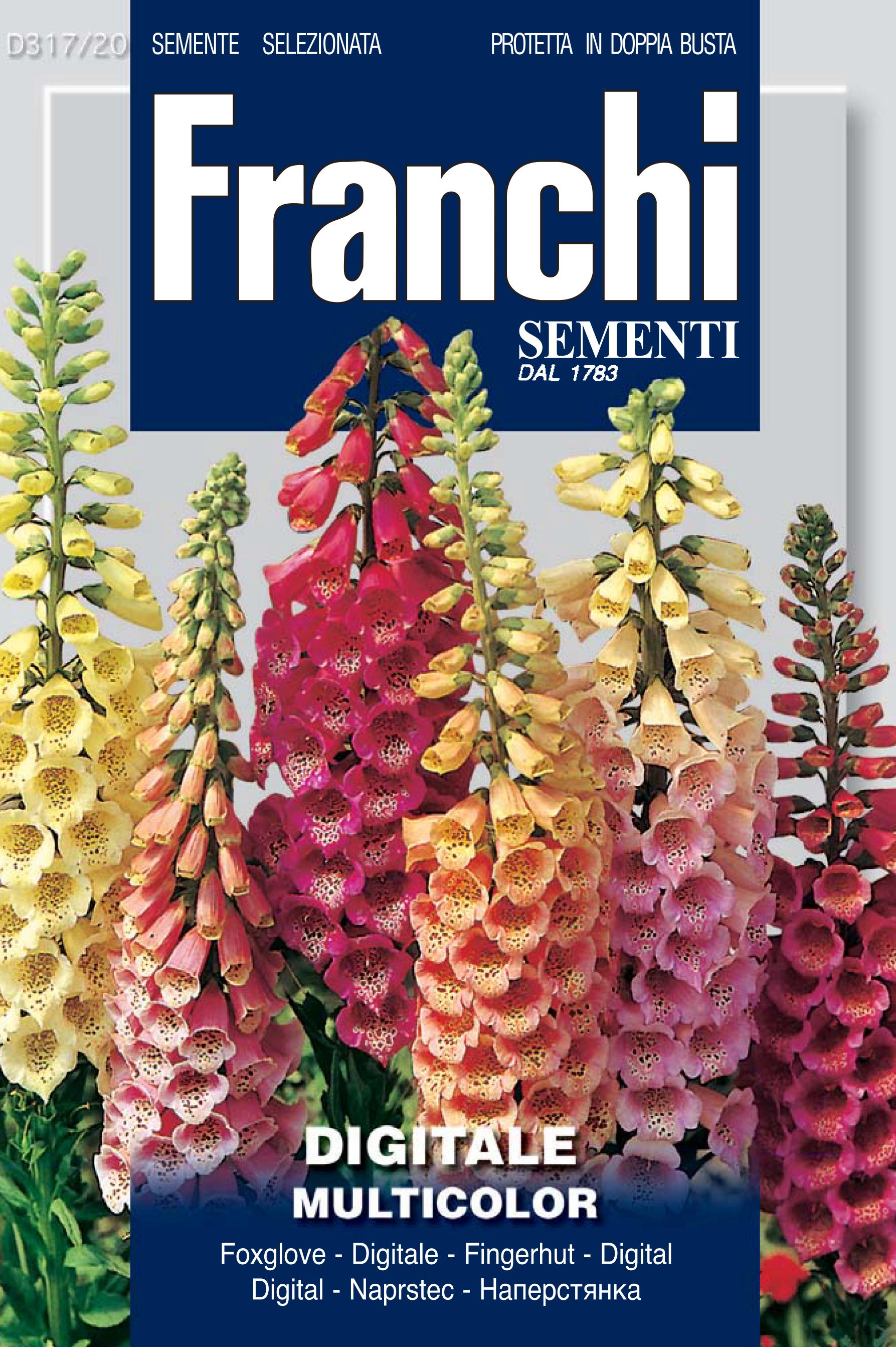 Foxglove Digitale multicolor - Main Image